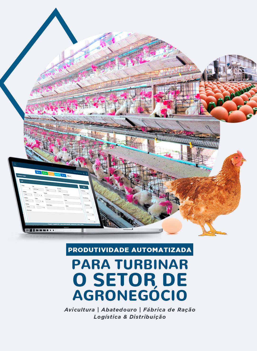 Software de Gestão para Avicultura - VILESOFT